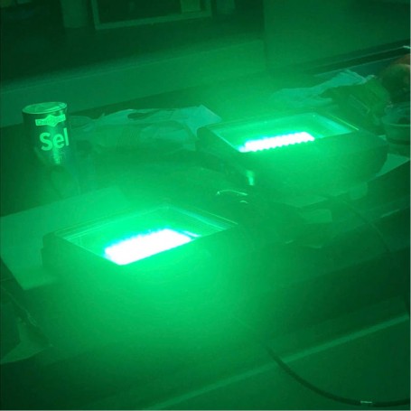 Flood Light 100W Groen in zwarte behuizing