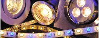 Ledlampen vervangen de meeste types halogeenlampen, gloeilampen en tl-buizen vervangen zonder verlies in lichtopbrengst en in lichtkleur